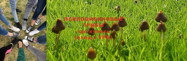 МДПВ Алексеевка