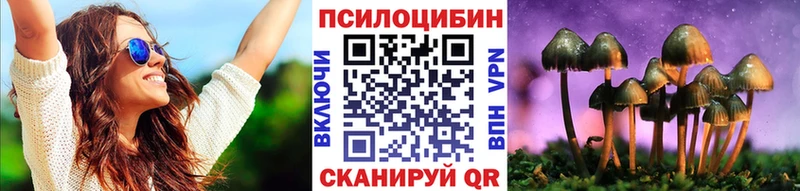 Галлюциногенные грибы мицелий  купить наркоту  Лаишево 